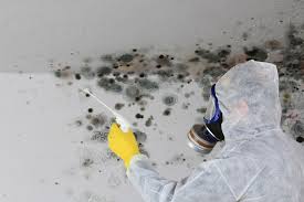 Best Mold Documentation for Insurance Claims in Mansfield, PA